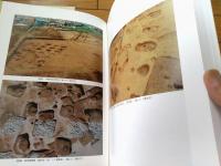 【宮城県仙台市 郡山遺跡発掘調査報告書ー総括編（１・２/２冊組）ー】仙台市教育委員会（平成１７年）
