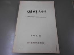 田川遺跡群 千葉県木更津市田川遺跡群発掘調査報告書