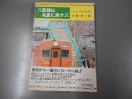 八高線は北風に負ケズ : 八王子-高崎各駅停車