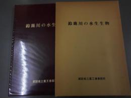 鈴鹿川の水生生物