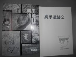 縄手遺跡 1・2　２冊