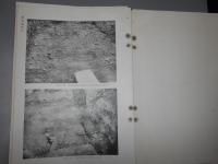 日本古文化研究所報告　第二　藤原宮址伝説地高殿の調査１