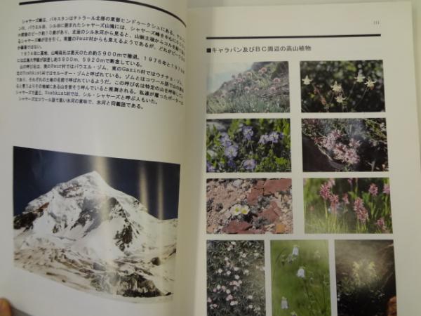 シャーズ峰 初登頂の記録1993 長崎北稜会ヒンドゥークシュ登山隊 長崎北稜会ヒンドゥークシュ登山隊 イーストリアス 古本 中古本 古書籍の通販は 日本の古本屋 日本の古本屋 シャーズ峰 初登頂の記録1993 長崎北稜会ヒンドゥークシュ登山隊 長崎北稜会ヒンドゥークシュ登山隊 イーストリアス 古本 中古本 古書籍の通販は 日本の古本屋 日本の古本屋