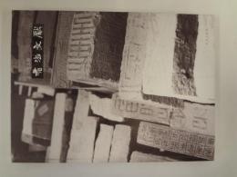 書法文献（中国語） （古代漢字図録）