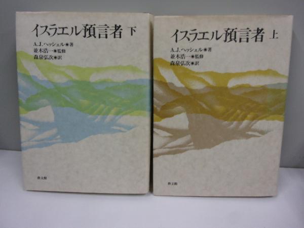 メタスキル : 心理療法の鍵を握るセラピストの姿勢(エイミー