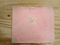 洋書絵本　Seashore Story