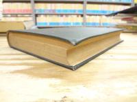 フィリス氏の馬術