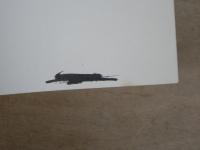 洋書　Integrierte Hochschulmodelle. Erfahrungen aus drei Laendern