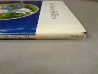 洋書絵本　Three Sillies