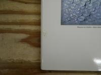 音楽を呼びさますもの