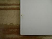 音楽を呼びさますもの