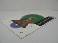 こどもを守るほとけたち