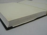 てんかん診療 : 指針としての100の原則