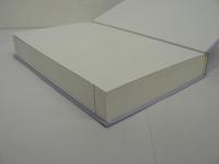 統合失調症 : 最新精神薬理学