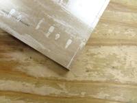 東京駅一〇〇年の記憶