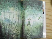 洋書絵本　Cappuccetto Rosso, Verde, Giallo, Blu e Bianco 