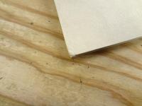 西脇順三郎全詩引喩集成