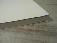 駆けある記35年 : ボーイスカウト新潟連盟35年の記録