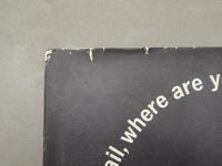 snail, where are you?