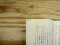 文庫版 怪盗ルパン　全20巻揃