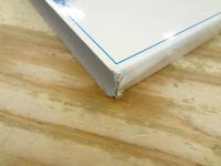 ヴォート基礎生化学