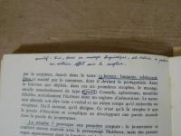 Lautréamont et la cohérence de l'écriture