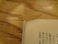 息子よ未来は美しい