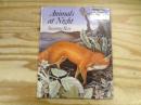 Animals at Night