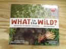 What in the Wild?: Mysteries of Nature Concealed . . . and Revealed
