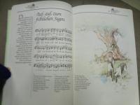 Kein schoener Land ... Das grosse Buch unserer beliebtesten Volkslieder