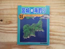 宮城の海釣り : 航空写真で見る沿岸のポイント