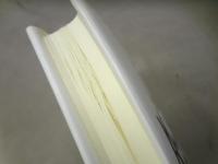 公共知識人ダニエル・ベル : 新保守主義とアメリカ社会学