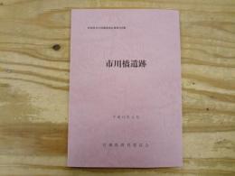 宮城県文化財調査報告書第193集　市川橋遺跡　平成15年3月