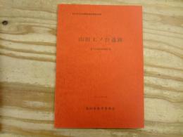 山田上ノ台遺跡 : 第3次発掘調査報告書