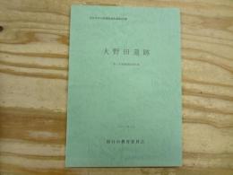 大野田遺跡 : 発掘調査報告書
