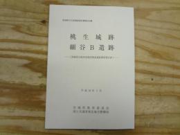 桃生城跡・細谷B遺跡