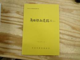 角田郡山遺跡 : ほか