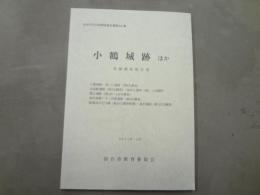 小鶴城跡ほか : 発掘調査報告書