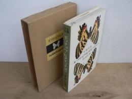 ギフチョウ・ヒメギフチョウ : 生態写真