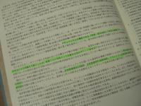 四福音書対観表 : ギリシア語-日本語版