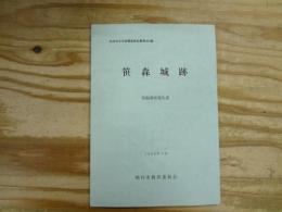 笹森城跡 : 発掘調査報告書