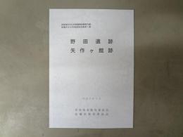 野田遺跡・矢作ヶ館跡