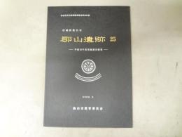 宮城県仙台市　郡山遺跡25 平成16年度発掘調査概報　