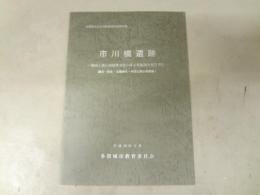 市川橋遺跡　城南土地区画整理事業に係る発掘調査報告書 Ⅳ
縄文・弥生・古墳時代・中世以降の考察編　1
