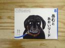あむとあおいリード