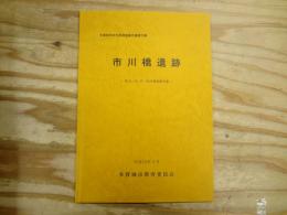 市川橋遺跡 : 調査報告書