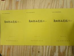 角田郡山遺跡ほか11～13（3冊セット）