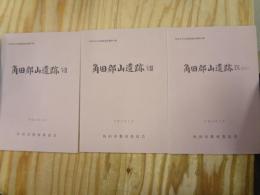 角田郡山遺跡Ⅶ～Ⅸ　3冊セット