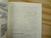 埋蔵文化財発掘調査研究所報告書　第1～11集（3、4集欠）　9冊まとめて