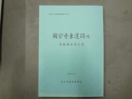 国分寺東遺跡他発掘調査報告書